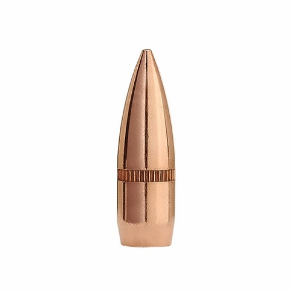 .224 55gr VM BT SIERRA  100 Stück