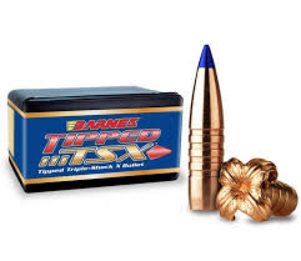 .375 250gr TTSX BT ( 50Stück)