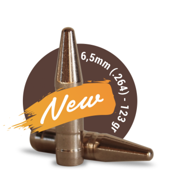 6,5 mm / .264 / 123 gr. / 8,0 g. / 100 Stück