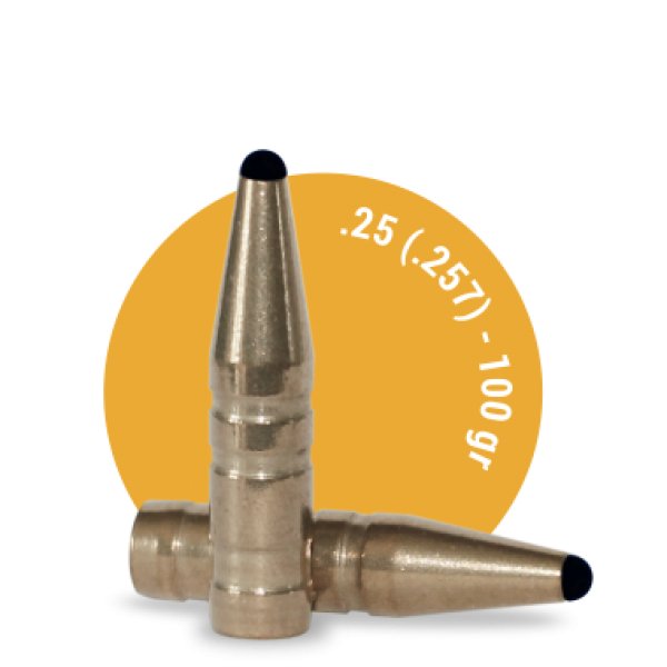 6,5 mm / .257 / 100 gr. / 6,5 g. / 50 Stück