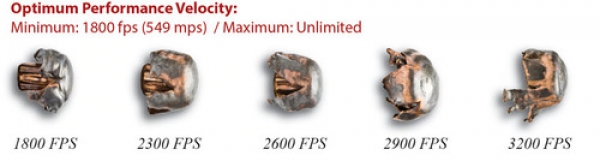 Nosler Partition